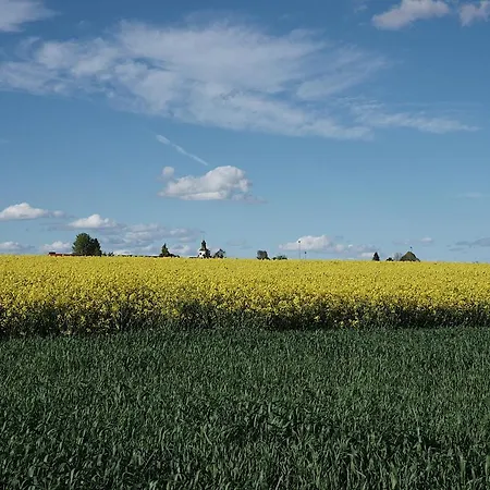 Reimann Mit Kostenloser Albcard